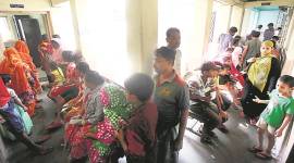 Kolkata dengue, dengue, dengue deaths in Kolkata, Kolkata Dengue menace, Kolkata government on dengue, kolkata news, indian express news 