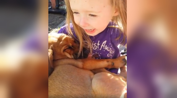 pet dog, little girl, social media viral, viral video, recused dog, rescued pet, girl singing lullabies to a dog, pet activities, dog lovers, indian express, indian expess news