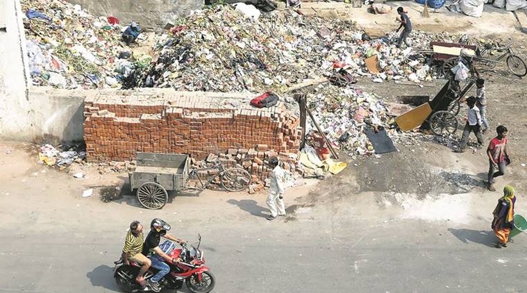 Lion Services Limited , Chandigarh Garbage Disposal, Chandigarh garbage, chandigarh news, indian express news