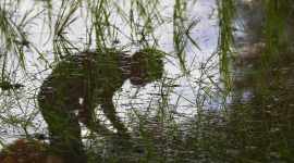 Sudesh Kumar had threatened to either kill himself or convert to Islam after his land was allegedly grabbed by a few influential people.