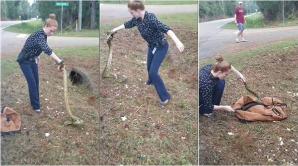 snake, snake video, scary video, snake rescue video, cops rescue snake with hands, anaconda rescue with bare hands, female officer ananconda rescue, viral videos, animal videos, indian express