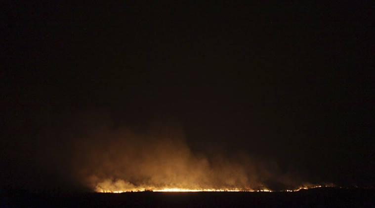 brazil, sao paulo, illegal mining, environment office fire brazil, world news, indian express