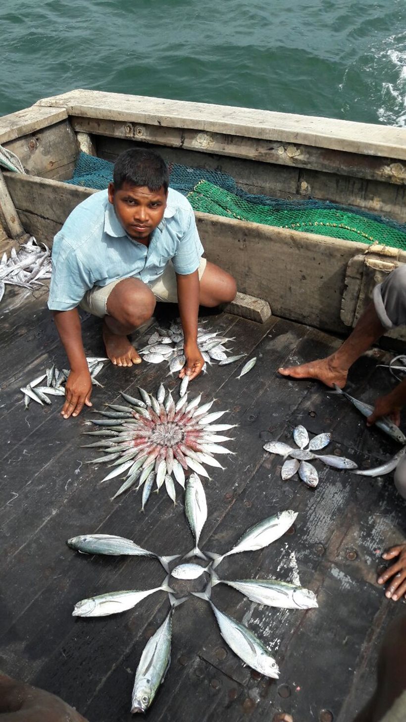 fishes, fish art, fish designs, fish designs, indian express, indian express news