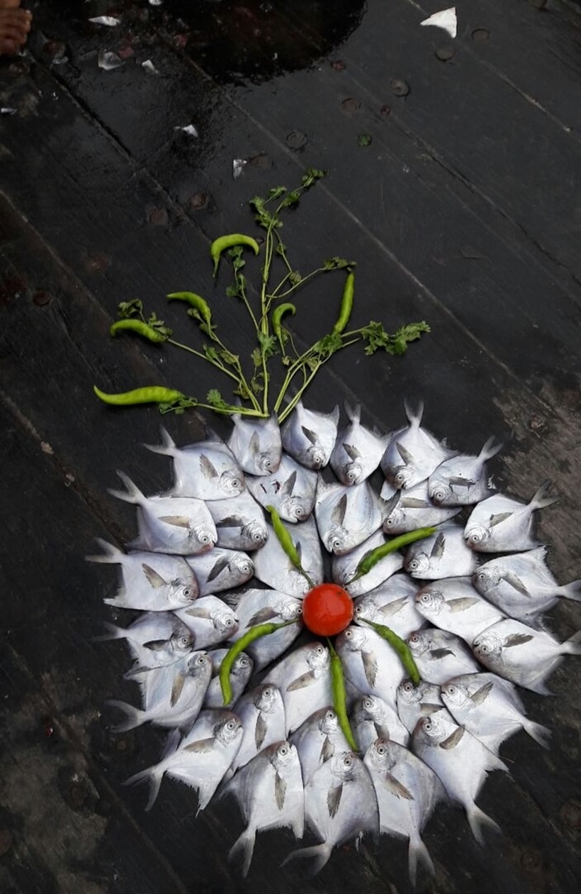 fishes, fish art, fish designs, fish designs, indian express, indian express news