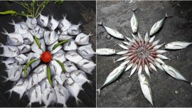 fishes, fish art, fish designs, fish designs, indian express, indian express news