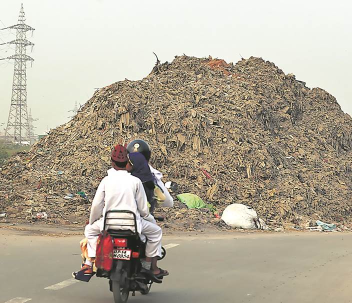 Ghazipur landfill collapse: A month on, pile of garbage strewn across road  unnerves residents