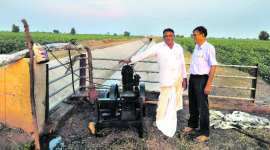 Gujarat farmers, Gujarat elections, Narmada project, Limbdi Branch Canal, Sardar Sarovar Narmada Nigam Limited, Sardar Sarovar dam, Narmada project, Narmada project in Gujarat, Vallabhipur Branch Canal, cotton crop, cotton crop farming, Narendra Modi, Narendra Modi Sardar Sarovar dam, cotton production, Indian farmers, farmers subsidy, indian express