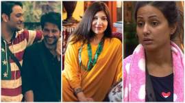 Bigg Boss 11, Bigg Boss 11 news, Bigg Boss, Bigg Boss 11 hina khan, hina khan, Hiten Tejwani, Vikas Gupta, Alka Yagnik, Bigg Boss 11 fans