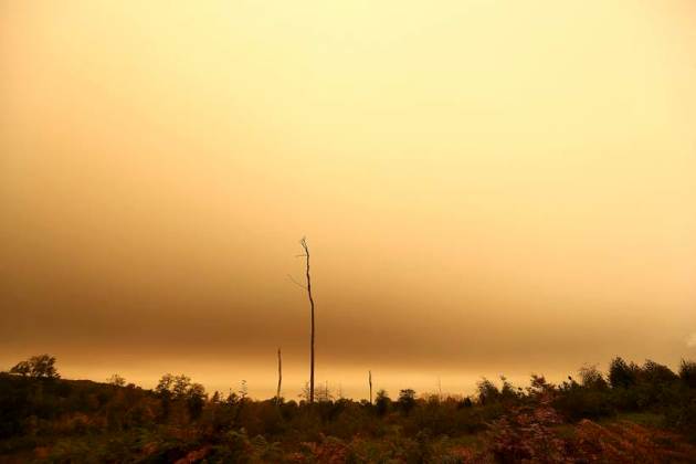 Hurricane Ophelia, Ophelia, Ophelia hurricane, britain, Britain hurricane, Ireland Hurricane, Ophelia effects, London weather, Ophelia hurricane photos, Ophelia photos, World news, Indian express news