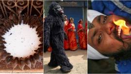 oddly India, weird things in India, weird stunts in india, crazy indian stunts, crazy things indians do, indian express, indian express news