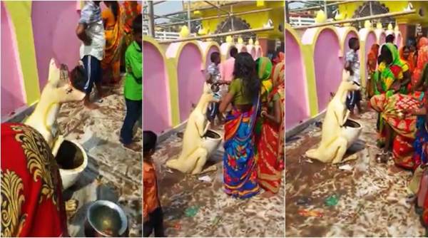 funny video, bizarre video, people worship dustbin, kangaroo dustbin, chhath puja, people worship dustbin, weird news, viral video, indian express