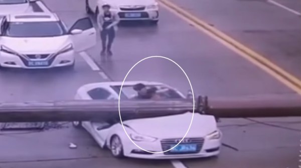 bizarre videos, man saved after accident videos, accident videos, man survives after crane falls on car, strange accident videos, indian express, indian express news