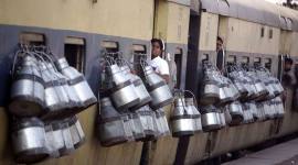 Milk, Agriculture sector, Foodgrains, Milk production, White Revolution, cattle farming, india drought, agriculture ministry, Indian Express