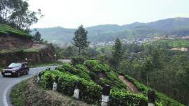 Ahead of August 15: Advance bookings by tourists rise by 50%