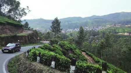 Ahead of August 15: Advance bookings by tourists rise by 50%