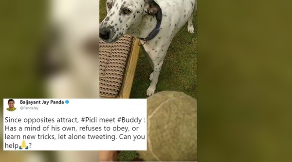 rahul gandhi twitter, rahul gandhi, rahul gandhi pet, rahul gandhi pidi pet, baijayant jai panda video, baijayant jay panda twitter, rahul gandhi pidi twitter, indian express, indian express news