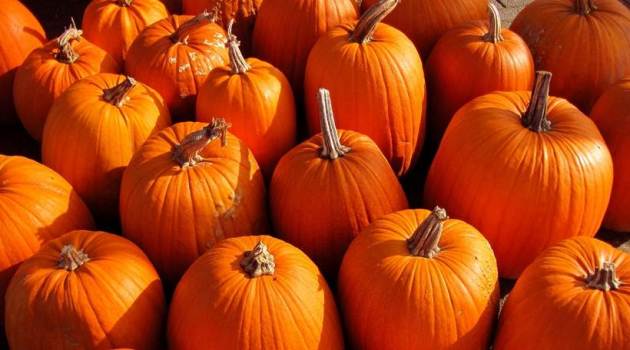 Pumpkin, World Obesity Day, World Obesity Day 2017, Weight Loss Food