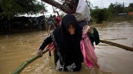 Dokalam, Rohingya Issue, Dokalam Stand-Off, Rohingya Crisis, Parliamentary Panel, Shashi Tharoor, Congress MP Shashi Tharoor, India News, Indian Express, Indian Express News