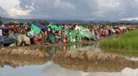 Rohingya crisis, Rohingya muslims, Rohingya people, Rohingya deaths, Myanmar, Myanmar rohingyas, World news, Indian express news