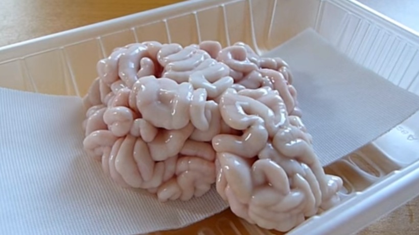 world food day, world food day 2017, bizarre food, weird food, different delicacies around the world, Indian express, Indian express news