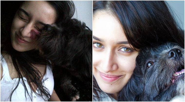 Shraddha Kapoor, Shraddha Kapoor Twitter, Shraddha, Shraddha Kapoor diwali video