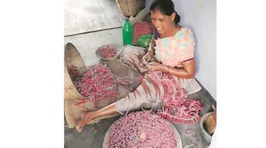 FIRECRACKER, FIRECRACKERs, sivakasi, fireworks, supreme court, FIRECRACKER ban, FIRECRACKERs ban, pollution, FIRECRACKERs pollution, diwali, india news, indian express news