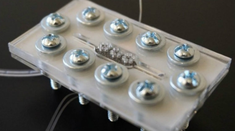 Solar cell, Binghamton University, biological solar cell, microfluidic lab-on-a-chip system, micro-BSCs, stand-alone diagnostic devices, bio-solar cell, biological photo-energy conversion, sustainable energy development, power applications 