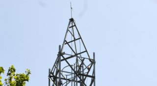 India telecom sector, telecom sector losses, telecom sector jobs, India Mobile Congress, telecom sector loans, telecom loans, low call rates, RBI telecom loan advisory, Vodafone, Idea, RCom, Airtel, mobile industry GDP, India mobile industry