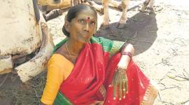 Bombay Stock Exchange, Vatsala Shinde, Vatsala Shinde and his three cows, stockbroker who feeds her cows, Mumbai stockbroker news, Maharashtra news, India news