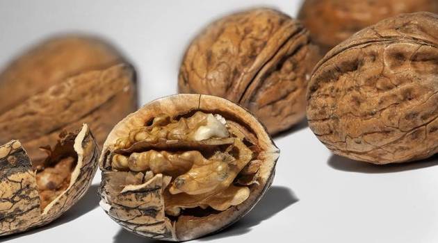 Walnuts, World Obesity Day, World Obesity Day 2017, Weight Loss Food