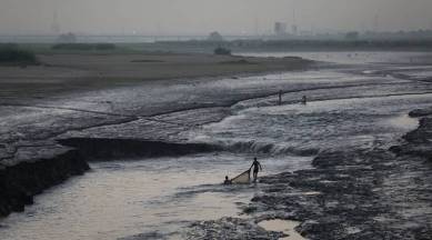 yamuna pollution, Yamuna, yamuna debris, NGT, yamuna idol immersion, yamuna floodplain, yamuna water pollution, yamuna river, delhi news, indian express news
