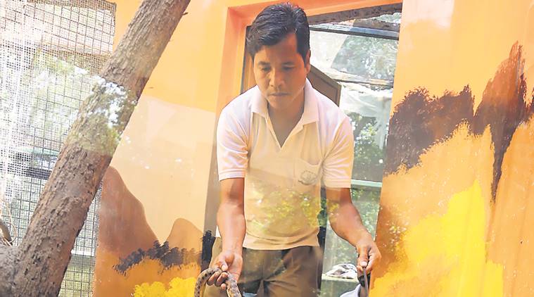 zoology park news, snake news, chandigarh news, indian express news