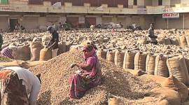 Gujarat Assembly elections, Patidar vote, Rahul Gandhi, Hardik Patel, Amit Shah, indian express, india news