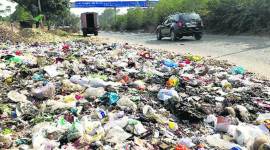 ban 759 mohali plastic bag, plastic pollution, polythene bag, mohali plastic bag use, punjab news, indian express, indian express news