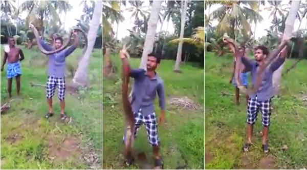 kerala, big fish, eel, kerala big fish, eel video, scary fish video, unusual videos, odd videos, weird videos, indian express