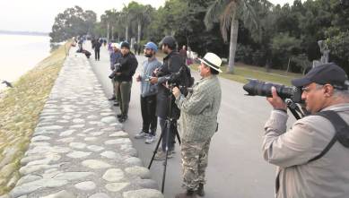 bird watchers, bird counting, sukhna lake, chandigarh, indian express
