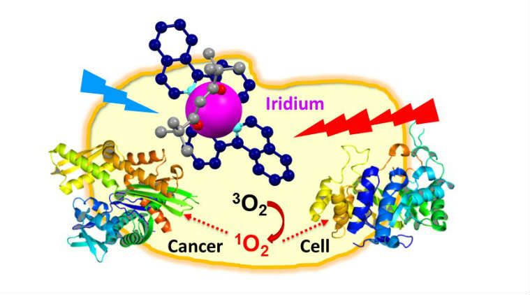 Cancer cells, iridium metal, dinosaur-killing asteroid, targeted cancer cell deaths, University of Warwick, singlet oxygen, visible laser light, cancerous areas, tumour, mass spectrometry, chemotherapies, organic-iridium compounds
