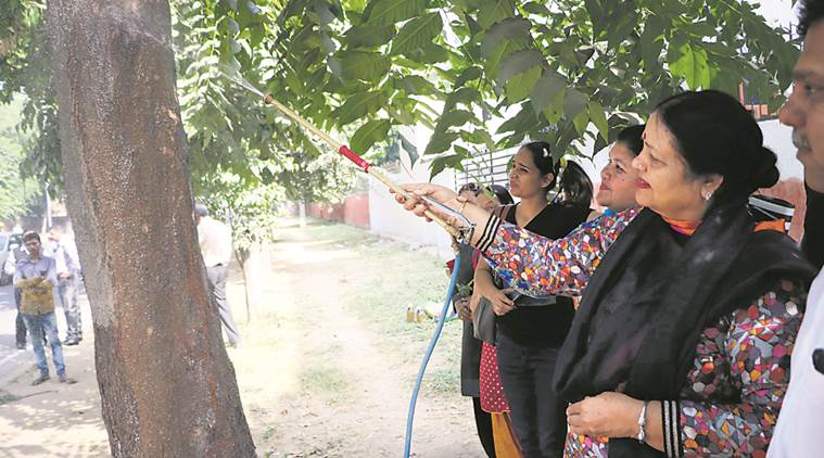 Chandigarh mayor, mayor of chandigarh, chandigarh news, indian express news, Mayor Asha Jaswal, mayor launches campaign