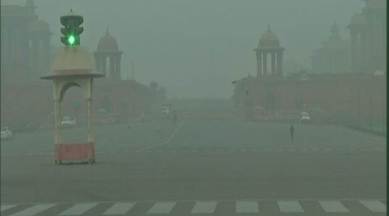 Lung capacity of Indians 30 per cent lower than N Americans: Scientist