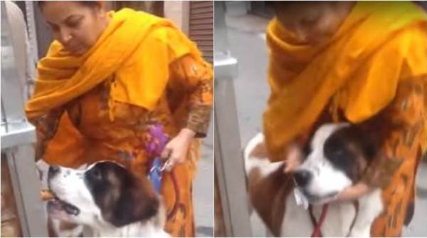 dog video, dog eating panipuri, dog eating gol gappe, woman feeding pet dog panipuri, viral video of dog eating panipuri, indian express, indian express news