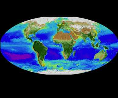 NASA, Earth's surface, climate change, NASA observation satellites, temperatures, Sea-viewing Wide Field-of-View Sensor, ecosystems, Earth-observing satellites, phytoplankton, ocean basins, biological deserts, ocean currents