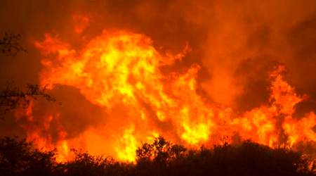 California Wildfire: News, Photos, Latest News Headlines about California Wildfire - The Indian Express