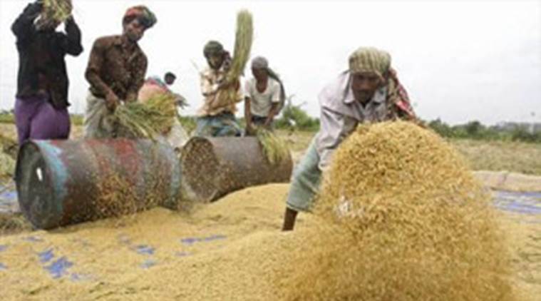 Bihar foodgrains production