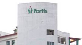 In its second and third quarter earnings statement, Fortis said its Audit and Risk Management Committee "decided to carry out an independent investigation through an external legal firm."