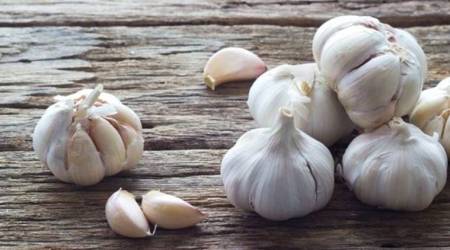 Garlic, chronic infections, lung health indian express, indian express news