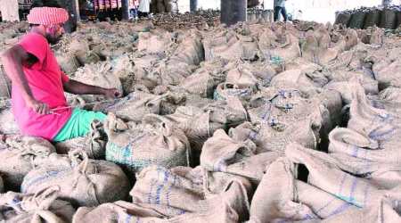 Gujarat: As traders reject ‘adulterated’ stock of groundnut, state government, NAFED pass the buck