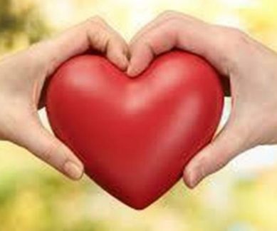 A Stanford University School of Medicine shows that mechanical heart valves are a safer option for patients with cardiac issues compared to their biological counterparts