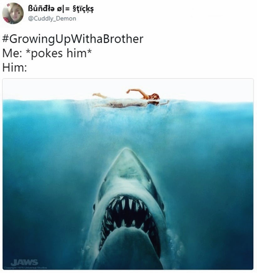 hilarious brother sister tweets, funniest tweets on siblings, funniest tweet collection on siblings, hilarious tweets on brother sister relationship, indian express, indian express news