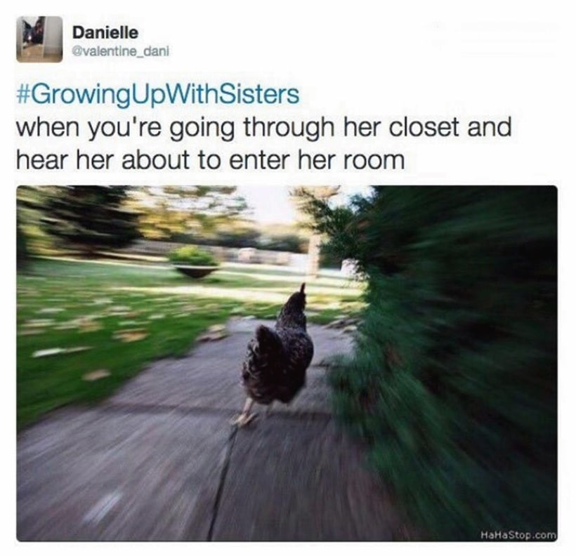 hilarious brother sister tweets, funniest tweets on siblings, funniest tweet collection on siblings, hilarious tweets on brother sister relationship, indian express, indian express news
