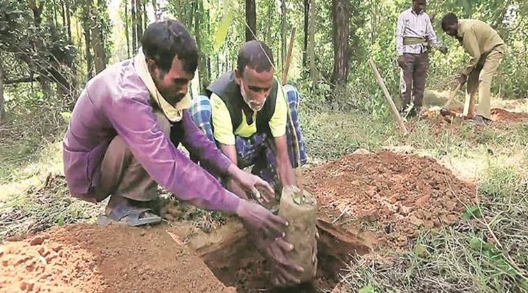 film festival, film festival in india, indian film festival, wildlife film festival, indian wildlife film festival